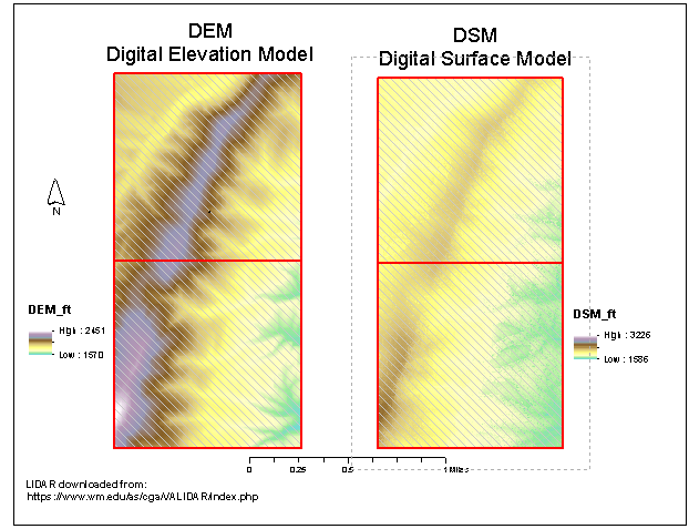 Figure 2 Example maps of DEM and DSM