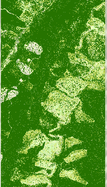 Example map of canopy vegetation classified by height